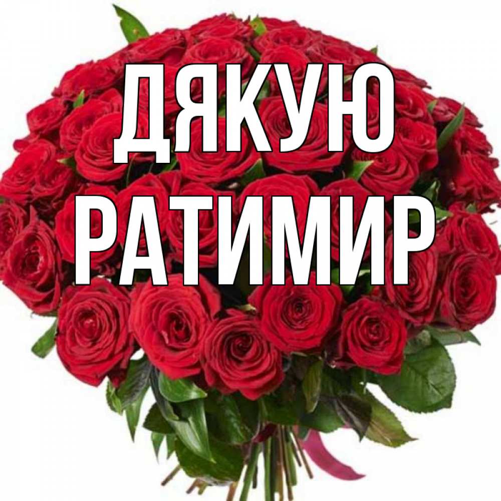 Открытка на каждый день з підписом, Ратимир Дякую букет красных роз Прикольна листівка з побажанням онлайн скачати безкоштовно 