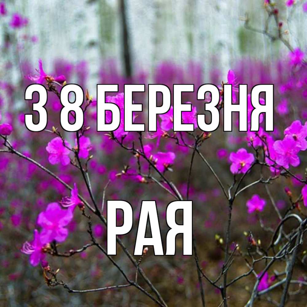 Открытка на каждый день з підписом, Рая З 8 БЕРЕЗНЯ дикие цветы Прикольна листівка з побажанням онлайн скачати безкоштовно 