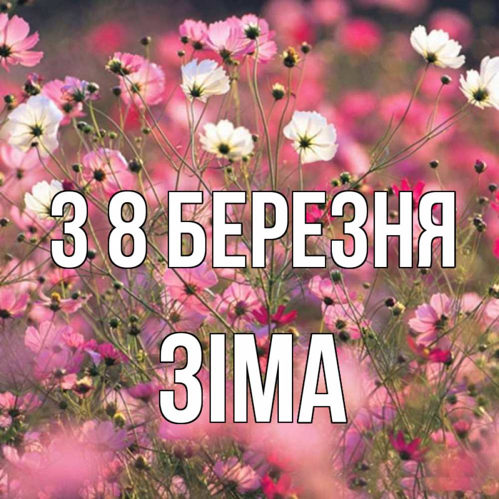 Открытка на каждый день з підписом, Зіма З 8 БЕРЕЗНЯ красиво 1 Прикольна листівка з побажанням онлайн скачати безкоштовно 