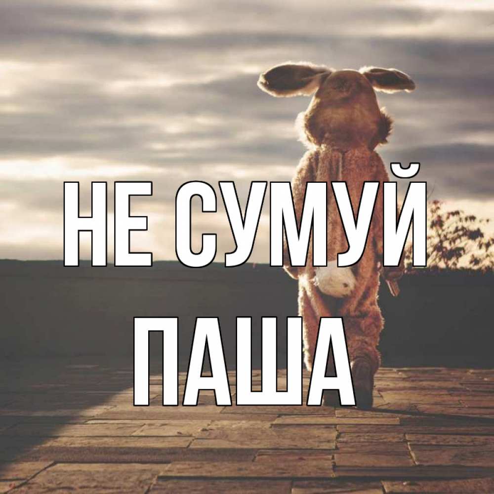 Открытка на каждый день з підписом, Паша Не сумуй со спины Прикольна листівка з побажанням онлайн скачати безкоштовно 