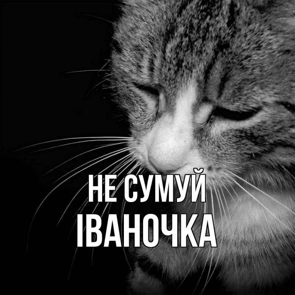 Открытка на каждый день з підписом, Іваночка Не сумуй грустный котик Прикольна листівка з побажанням онлайн скачати безкоштовно 