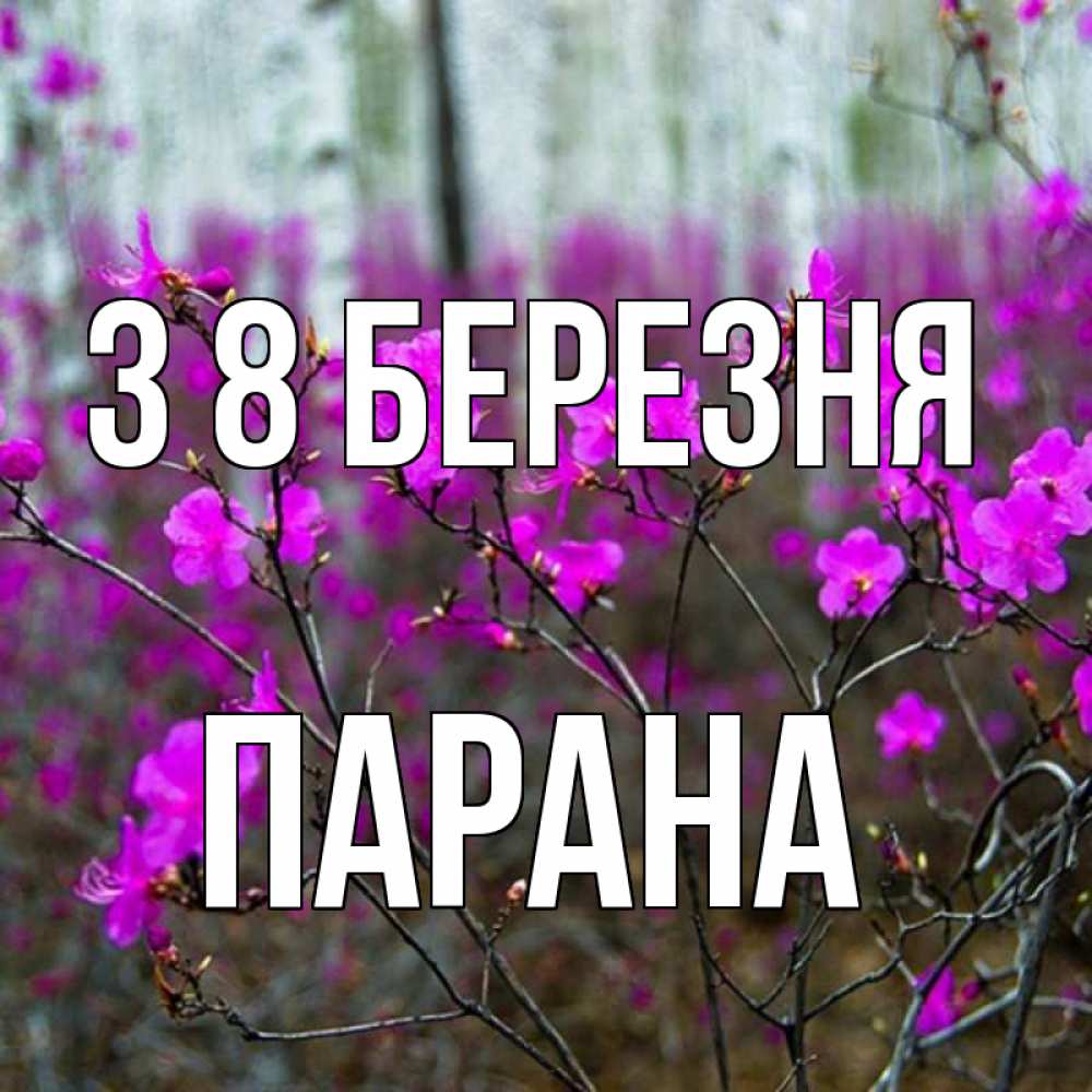 Открытка на каждый день з підписом, Парана З 8 БЕРЕЗНЯ дикие цветы Прикольна листівка з побажанням онлайн скачати безкоштовно 