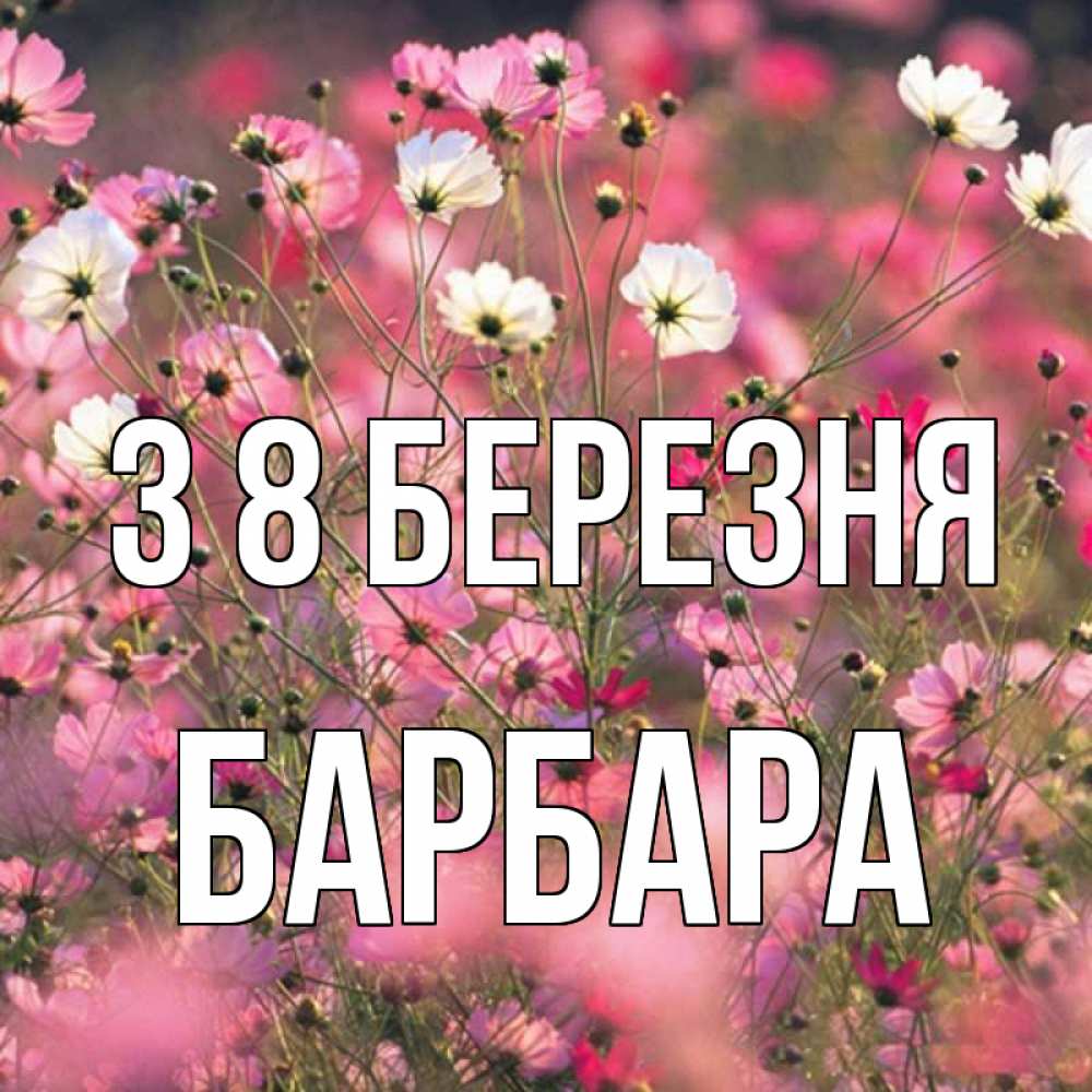 Открытка на каждый день з підписом, Барбара З 8 БЕРЕЗНЯ красиво 1 Прикольна листівка з побажанням онлайн скачати безкоштовно 
