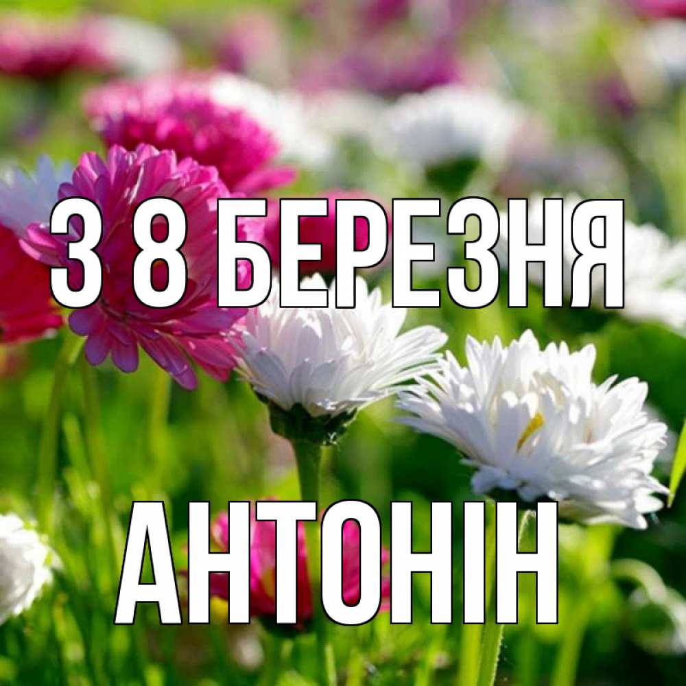Открытка на каждый день з підписом, Антонін З 8 БЕРЕЗНЯ международный женский день 1 Прикольна листівка з побажанням онлайн скачати безкоштовно 