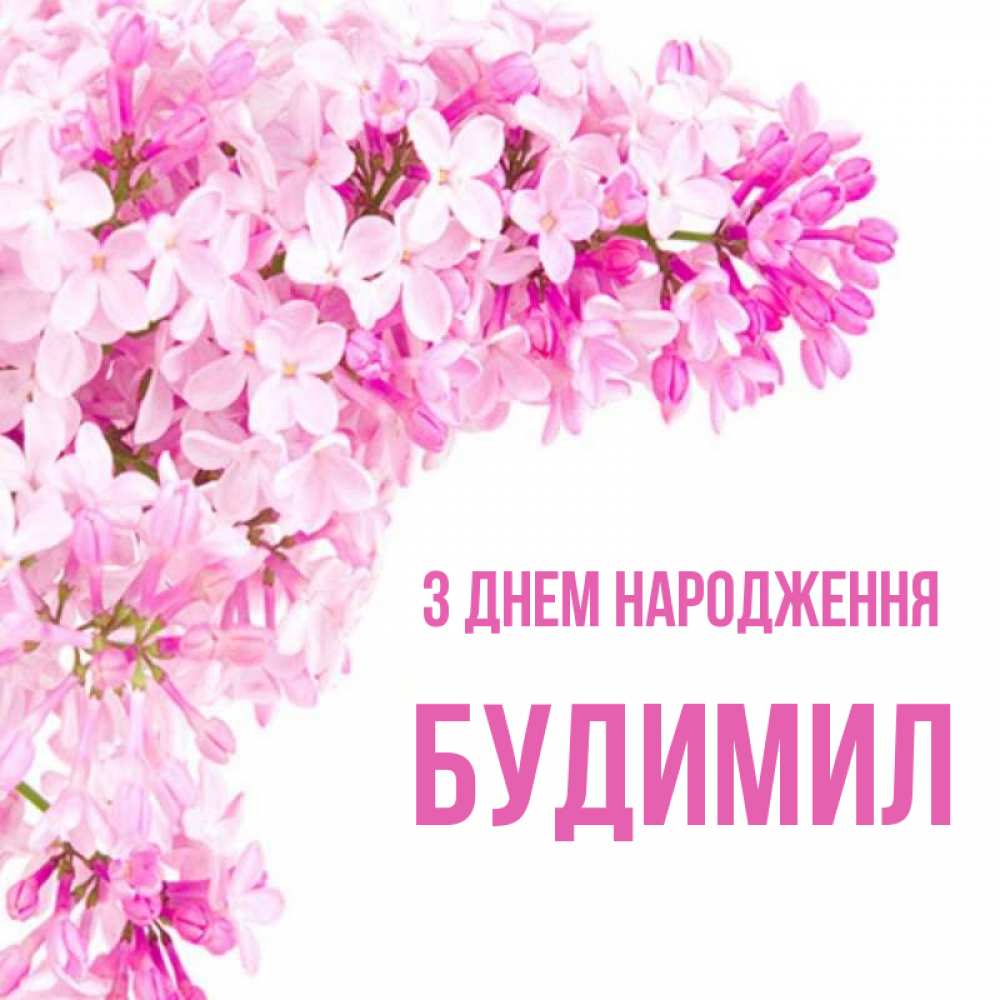 Открытка на каждый день з підписом, Будимил З Днем народження Сирень на белом фоне Прикольна листівка з побажанням онлайн скачати безкоштовно 