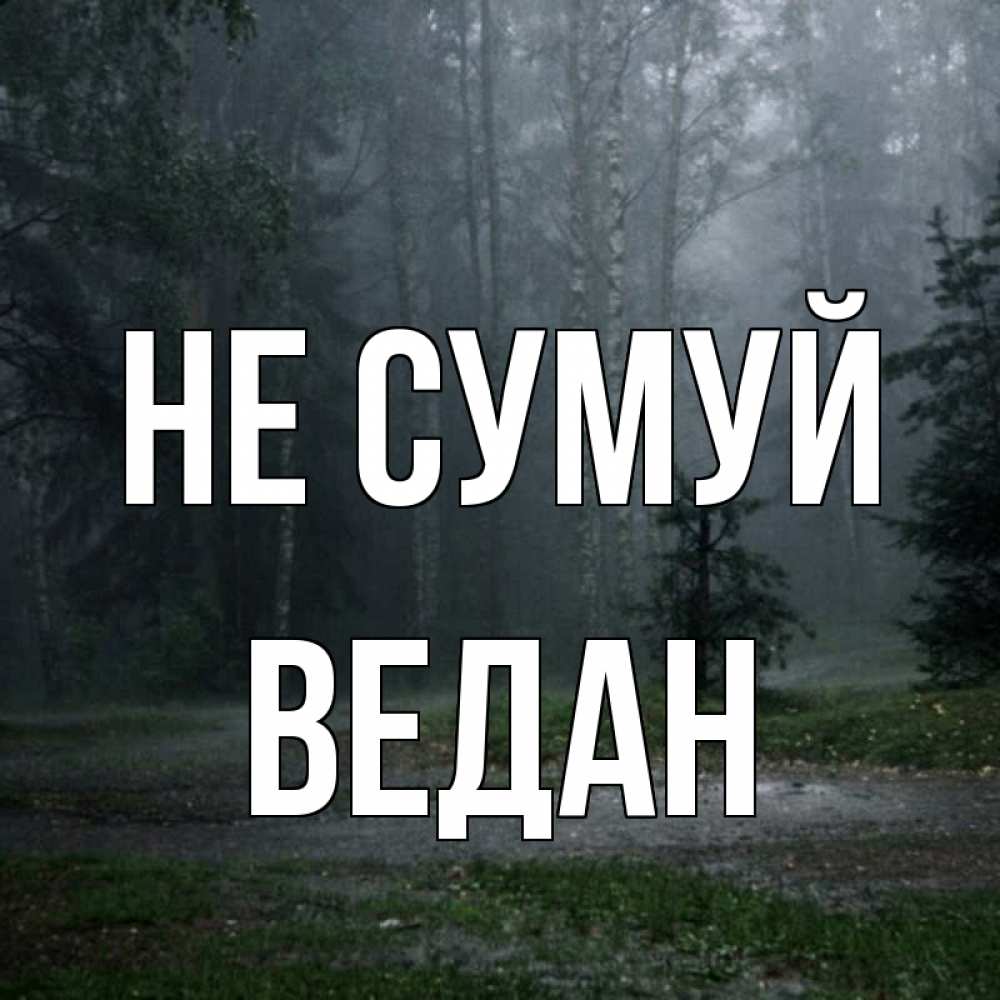 Открытка на каждый день з підписом, Ведан Не сумуй осень Прикольна листівка з побажанням онлайн скачати безкоштовно 