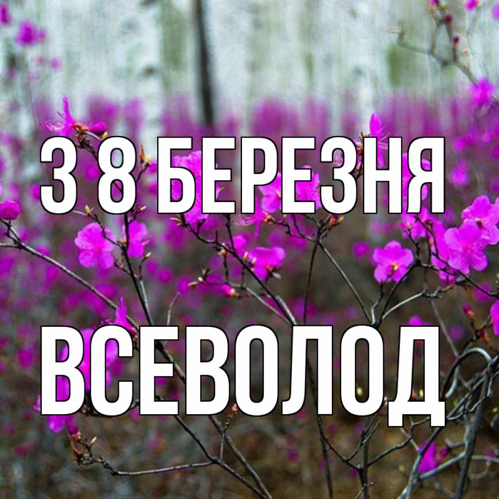 Открытка на каждый день з підписом, Всеволод З 8 БЕРЕЗНЯ дикие цветы Прикольна листівка з побажанням онлайн скачати безкоштовно 