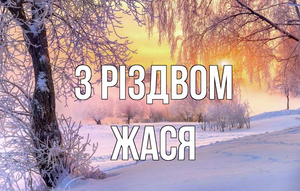 Открытка на каждый день з підписом, Жася З Різдвом рождество, лес, зима 1 Прикольна листівка з побажанням онлайн скачати безкоштовно 