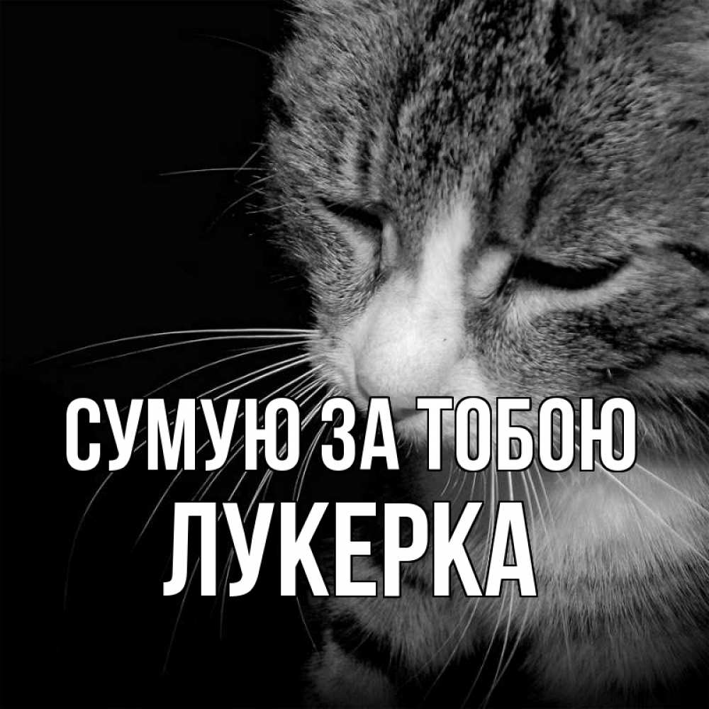 Открытка на каждый день з підписом, Лукерка Сумую за тобою мне скучно Прикольна листівка з побажанням онлайн скачати безкоштовно 