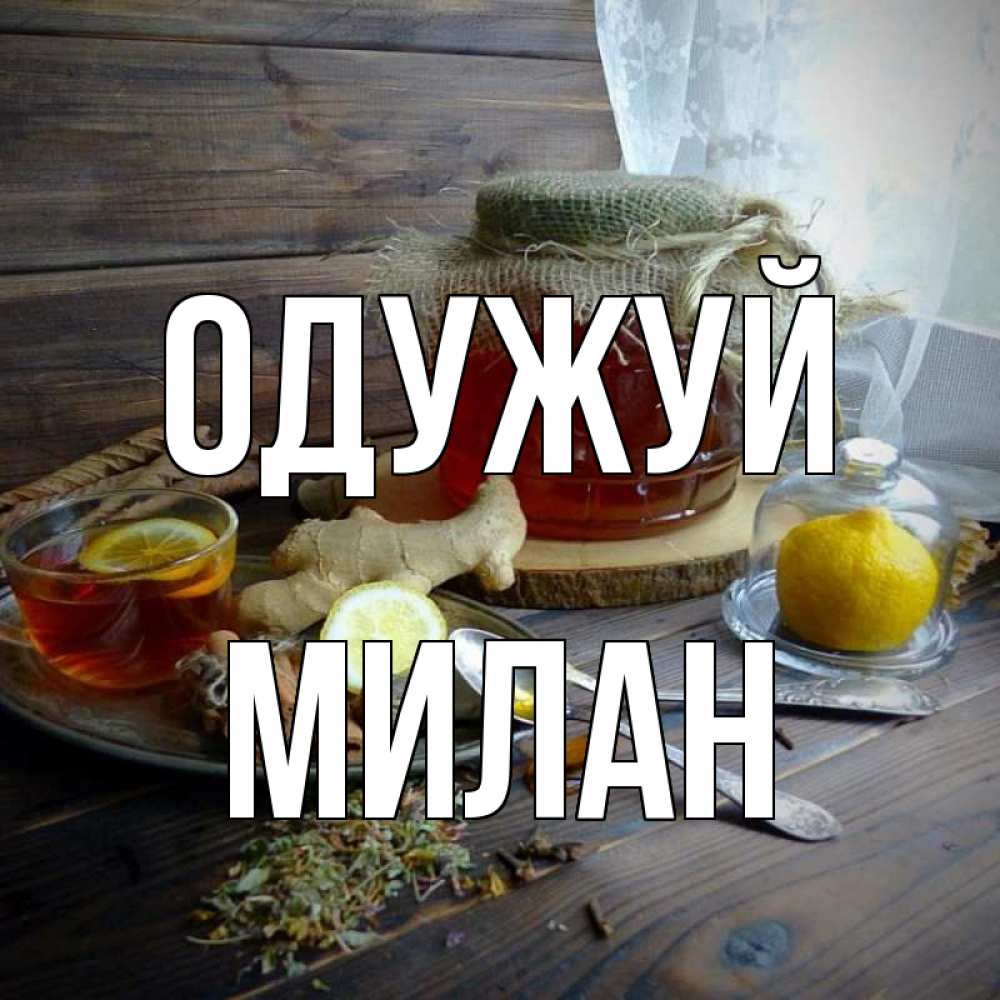 Открытка на каждый день з підписом, Милан Одужуй банка с медом Прикольна листівка з побажанням онлайн скачати безкоштовно 