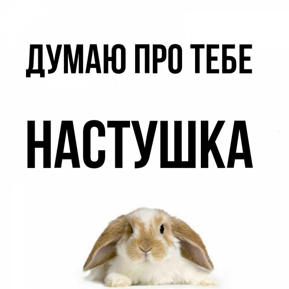 Открытка на каждый день з підписом, Настушка Думаю про тебе подписать своими руками онлайн Прикольна листівка з побажанням онлайн скачати безкоштовно 