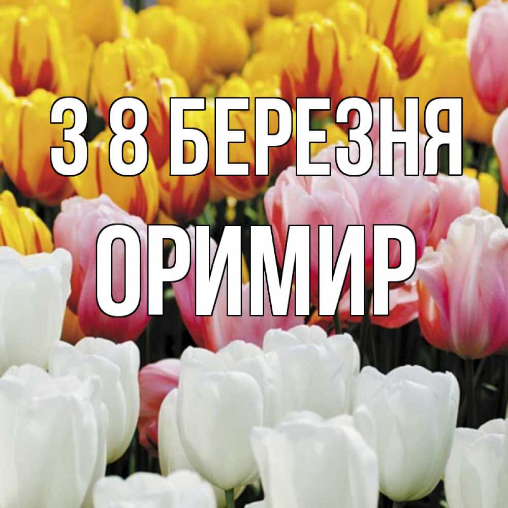 Открытка на каждый день з підписом, Оримир З 8 БЕРЕЗНЯ разноцветные цветы Прикольна листівка з побажанням онлайн скачати безкоштовно 