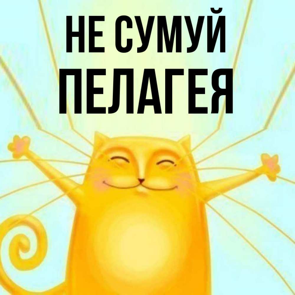 Открытка на каждый день з підписом, Пелагея Не сумуй обнимашки усатые Прикольна листівка з побажанням онлайн скачати безкоштовно 