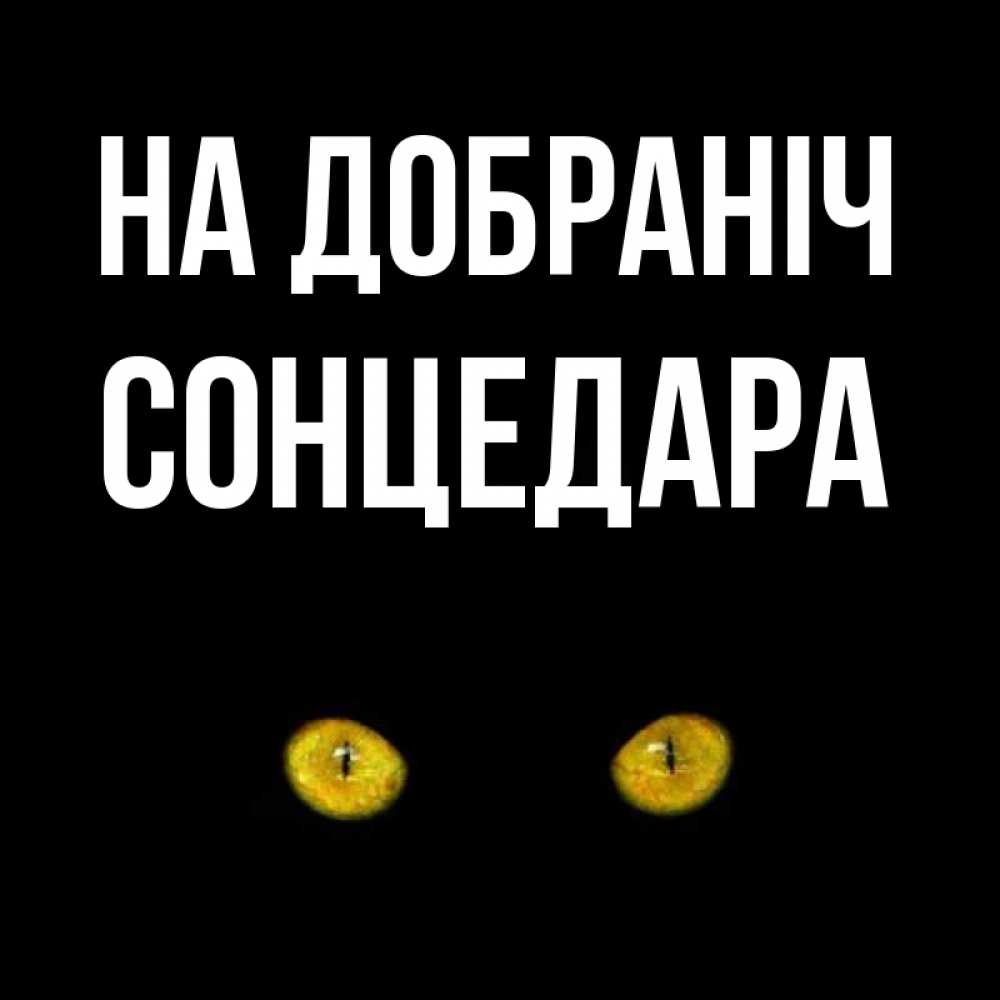Открытка на каждый день з підписом, Сонцедара На добраніч сладких снов бесстрашный мой дружочек Прикольна листівка з побажанням онлайн скачати безкоштовно 