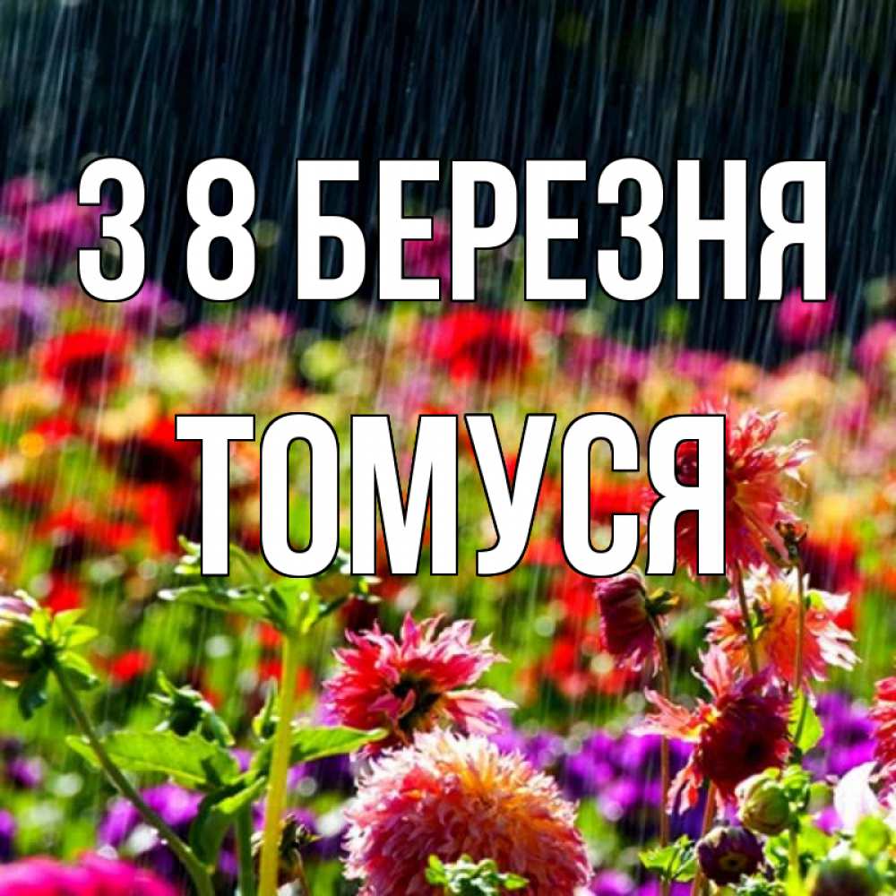 Открытка на каждый день з підписом, Томуся З 8 БЕРЕЗНЯ цветы под дождиком к международному женскому дню Прикольна листівка з побажанням онлайн скачати безкоштовно 