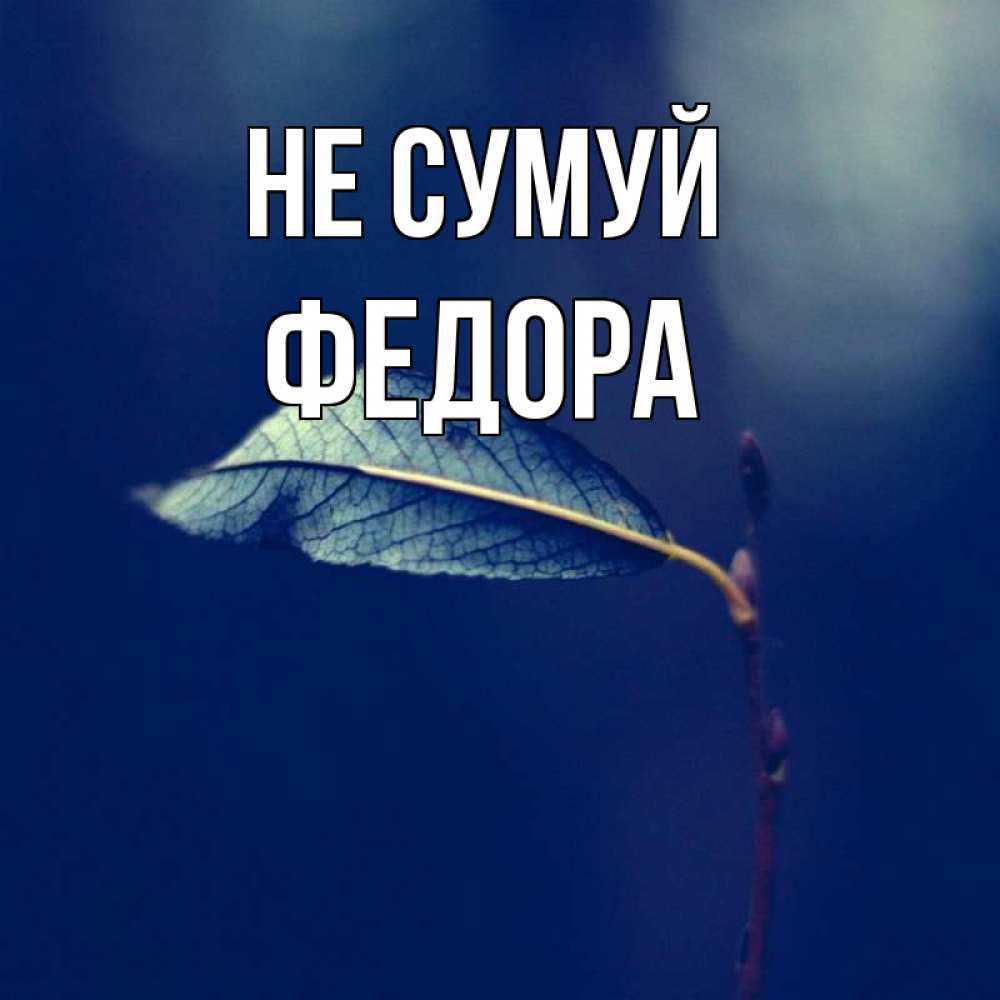 Открытка на каждый день з підписом, Федора Не сумуй растение Прикольна листівка з побажанням онлайн скачати безкоштовно 