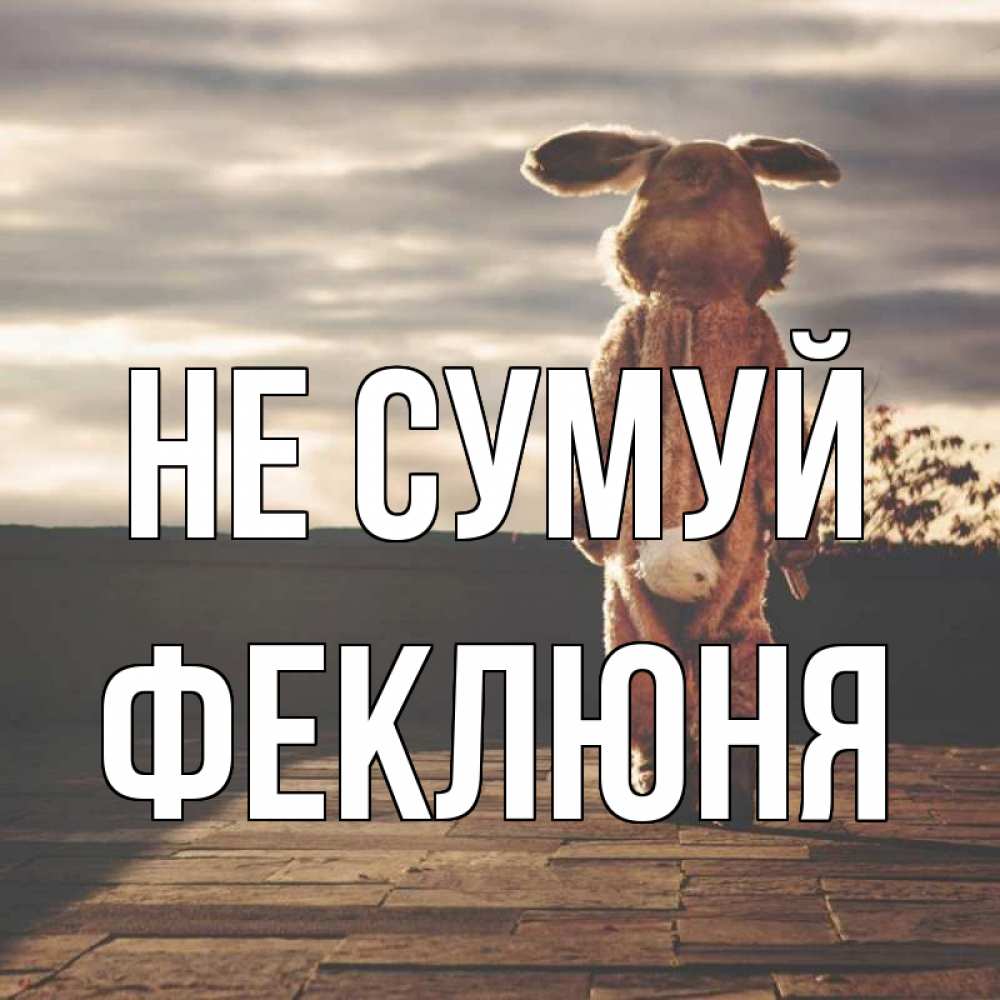 Открытка на каждый день з підписом, Феклюня Не сумуй со спины Прикольна листівка з побажанням онлайн скачати безкоштовно 