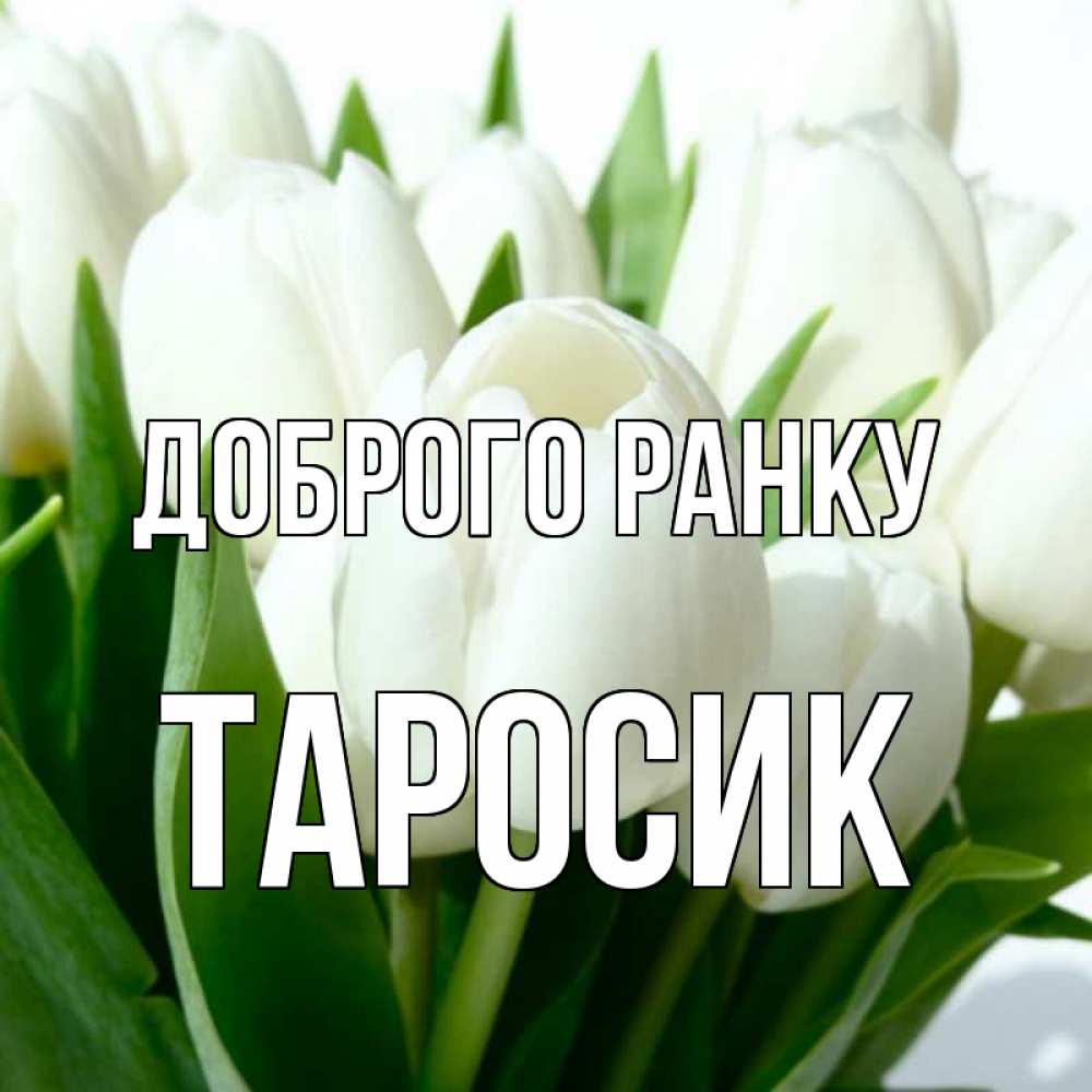 Открытка на каждый день з підписом, Таросик Доброго ранку открытки на каждый день по именам Прикольна листівка з побажанням онлайн скачати безкоштовно 