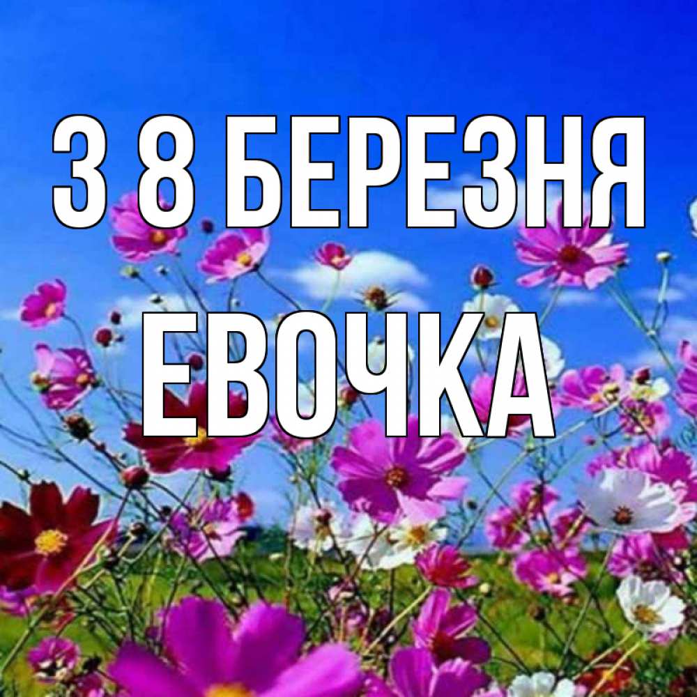 Открытка на каждый день з підписом, Евочка З 8 БЕРЕЗНЯ цветы Прикольна листівка з побажанням онлайн скачати безкоштовно 