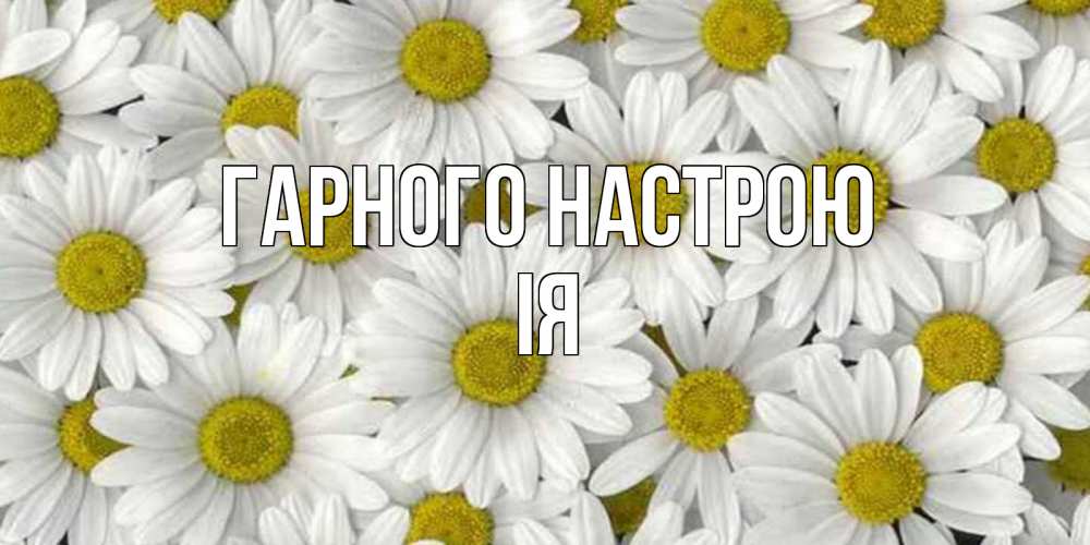 Открытка на каждый день з підписом, Ія Гарного настрою поляна ромашек Прикольна листівка з побажанням онлайн скачати безкоштовно 