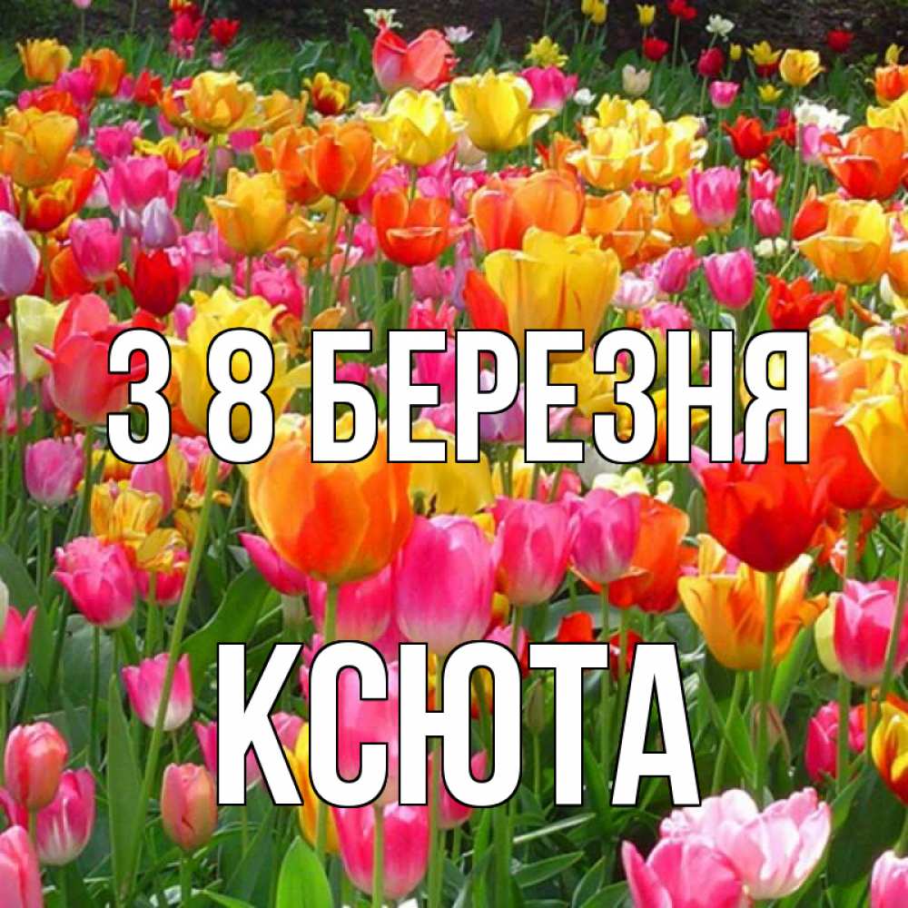 Открытка на каждый день з підписом, Ксюта З 8 БЕРЕЗНЯ на международный женский день Прикольна листівка з побажанням онлайн скачати безкоштовно 
