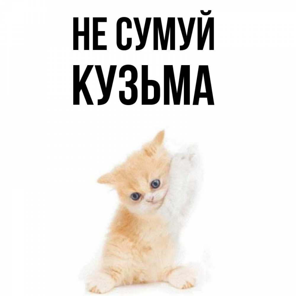 Открытка на каждый день з підписом, Кузьма Не сумуй просящий кот Прикольна листівка з побажанням онлайн скачати безкоштовно 