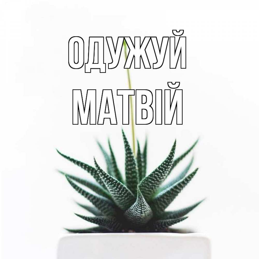 Открытка на каждый день з підписом, Матвій Одужуй короче это непонятная колючка Прикольна листівка з побажанням онлайн скачати безкоштовно 