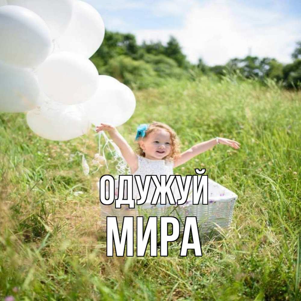 Открытка на каждый день з підписом, Мира Одужуй девочка сидит в корзине наверное от этого больной должен выздороветь Прикольна листівка з побажанням онлайн скачати безкоштовно 