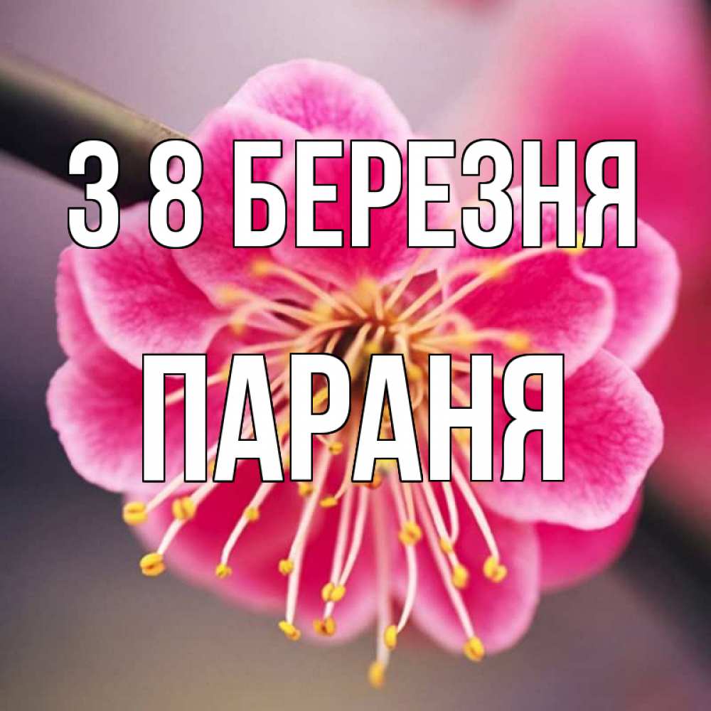 Открытка на каждый день з підписом, Параня З 8 БЕРЕЗНЯ цветы Прикольна листівка з побажанням онлайн скачати безкоштовно 