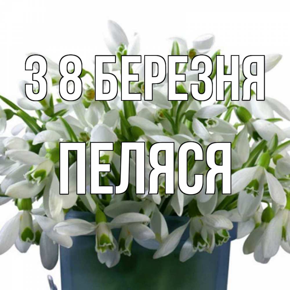 Открытка на каждый день з підписом, Пеляся З 8 БЕРЕЗНЯ цветы к международному женскому дню Прикольна листівка з побажанням онлайн скачати безкоштовно 