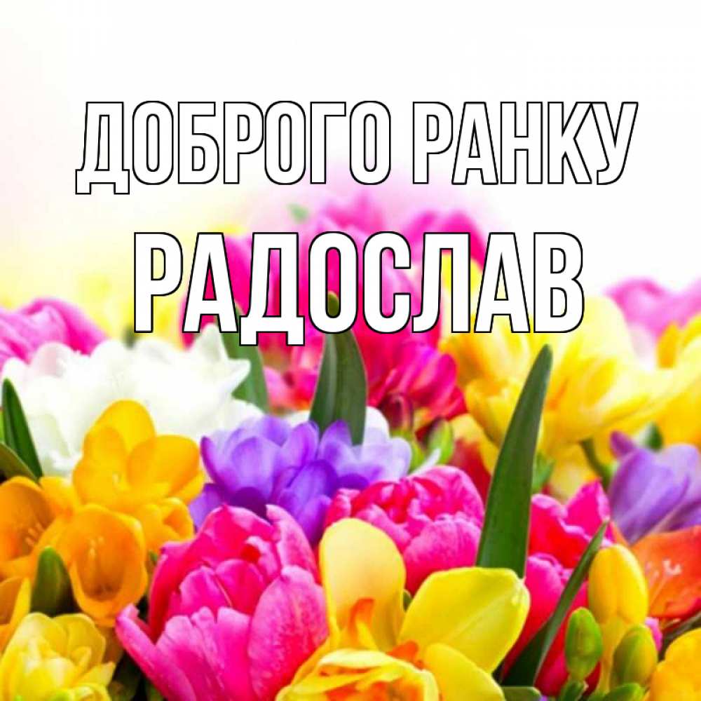 Открытка на каждый день з підписом, Радослав Доброго ранку создать открытку со свое подписью Прикольна листівка з побажанням онлайн скачати безкоштовно 