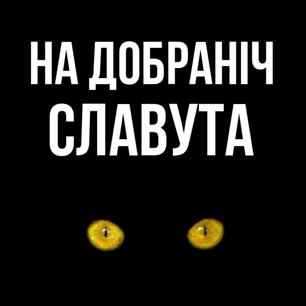 Открытка на каждый день з підписом, Славута На добраніч сладких снов бесстрашный мой дружочек Прикольна листівка з побажанням онлайн скачати безкоштовно 