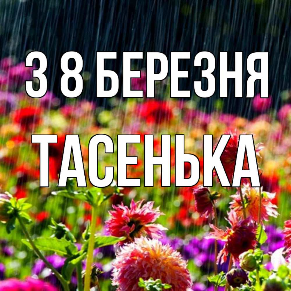 Открытка на каждый день з підписом, Тасенька З 8 БЕРЕЗНЯ цветы под дождиком к международному женскому дню Прикольна листівка з побажанням онлайн скачати безкоштовно 