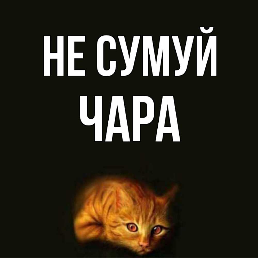 Открытка на каждый день з підписом, Чара Не сумуй лежащий кот в темноте Прикольна листівка з побажанням онлайн скачати безкоштовно 