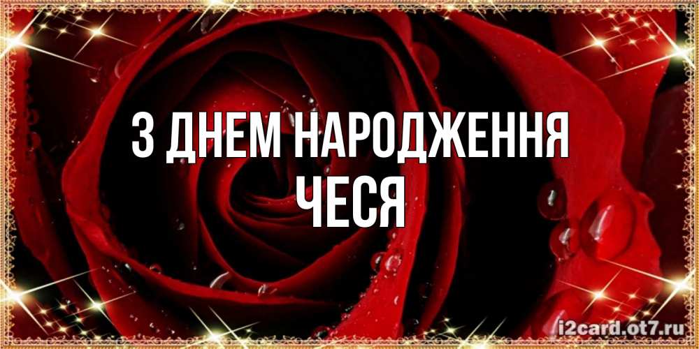 Открытка на каждый день з підписом, Чеся З Днем народження цветок в росе на день рождения Прикольна листівка з побажанням онлайн скачати безкоштовно 