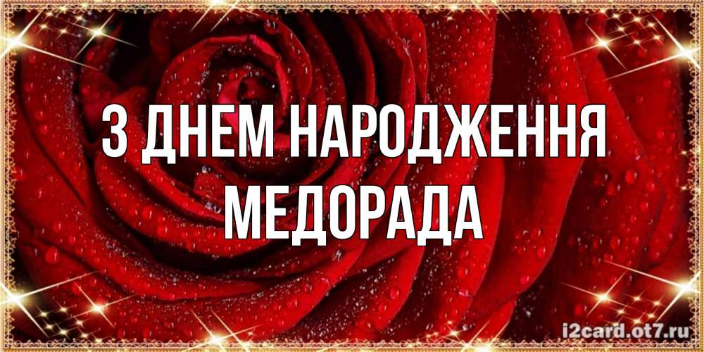 Открытка на каждый день з підписом, Медорада З Днем народження роса на розе блестящая в лучах солнца Прикольна листівка з побажанням онлайн скачати безкоштовно 