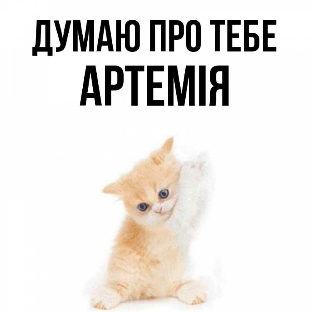 Открытка на каждый день з підписом, Артемія Думаю про тебе зверушки и милота Прикольна листівка з побажанням онлайн скачати безкоштовно 