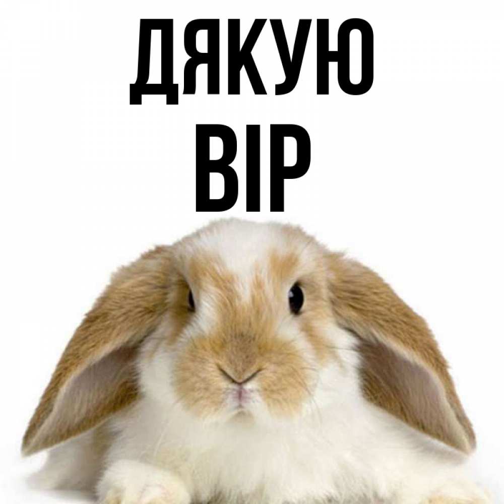 Открытка на каждый день з підписом, Вір Дякую коричнево белый заяц Прикольна листівка з побажанням онлайн скачати безкоштовно 