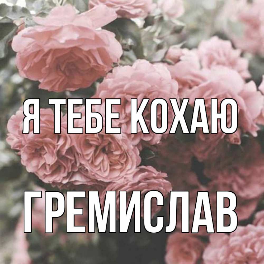 Открытка на каждый день з підписом, Гремислав Я тебе кохаю розы 3 Прикольна листівка з побажанням онлайн скачати безкоштовно 