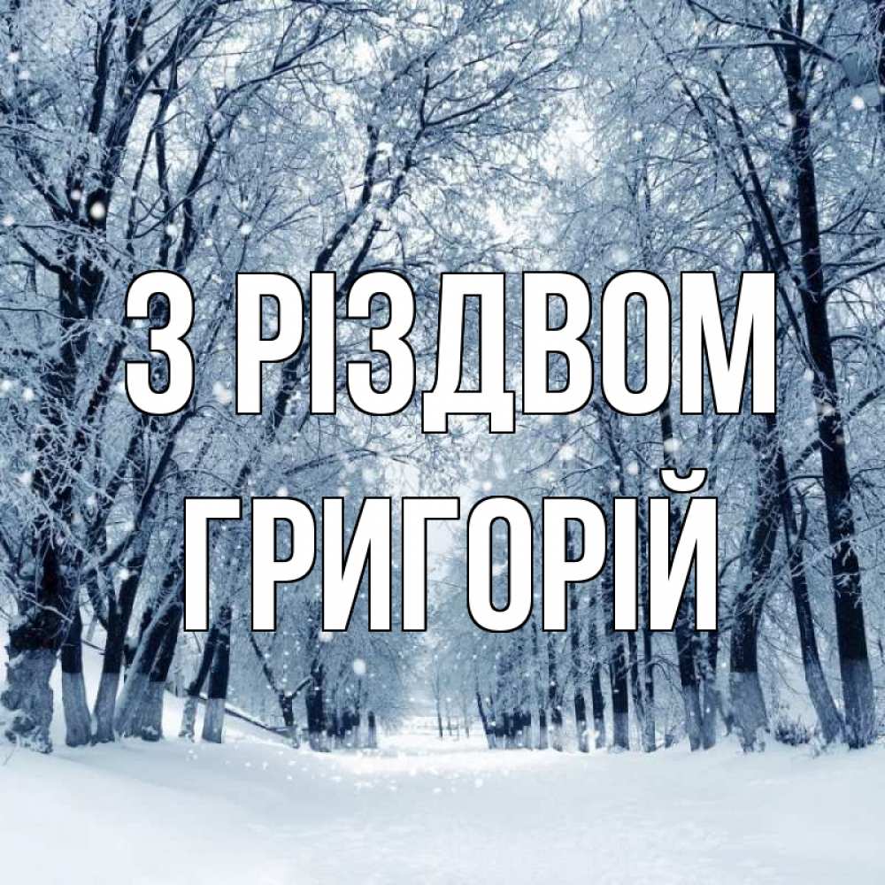 Открытка на каждый день з підписом, Григорій З Різдвом снег, лес, парк Прикольна листівка з побажанням онлайн скачати безкоштовно 