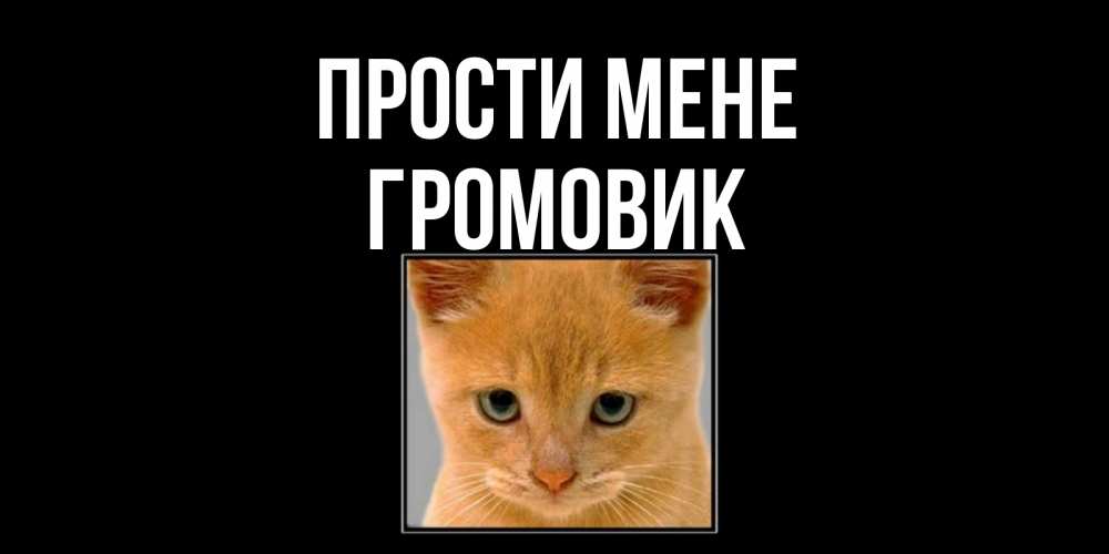 Открытка на каждый день з підписом, Громовик Прости мене рыжий грустный кот просит прощения Прикольна листівка з побажанням онлайн скачати безкоштовно 