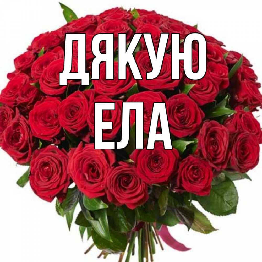 Открытка на каждый день з підписом, Ела Дякую букет красных роз Прикольна листівка з побажанням онлайн скачати безкоштовно 
