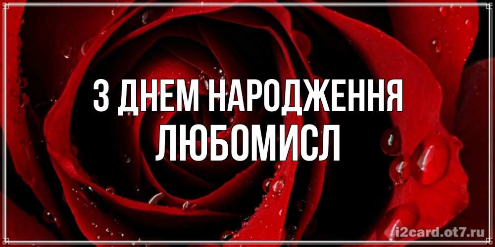 Открытка на каждый день з підписом, Любомисл З Днем народження крупная бордовая роза Прикольна листівка з побажанням онлайн скачати безкоштовно 