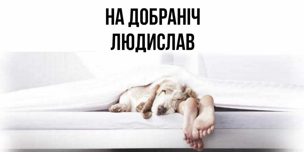Открытка на каждый день з підписом, Людислав На добраніч кровать с собакой пожелание сладких снов и спокойной ночи Прикольна листівка з побажанням онлайн скачати безкоштовно 