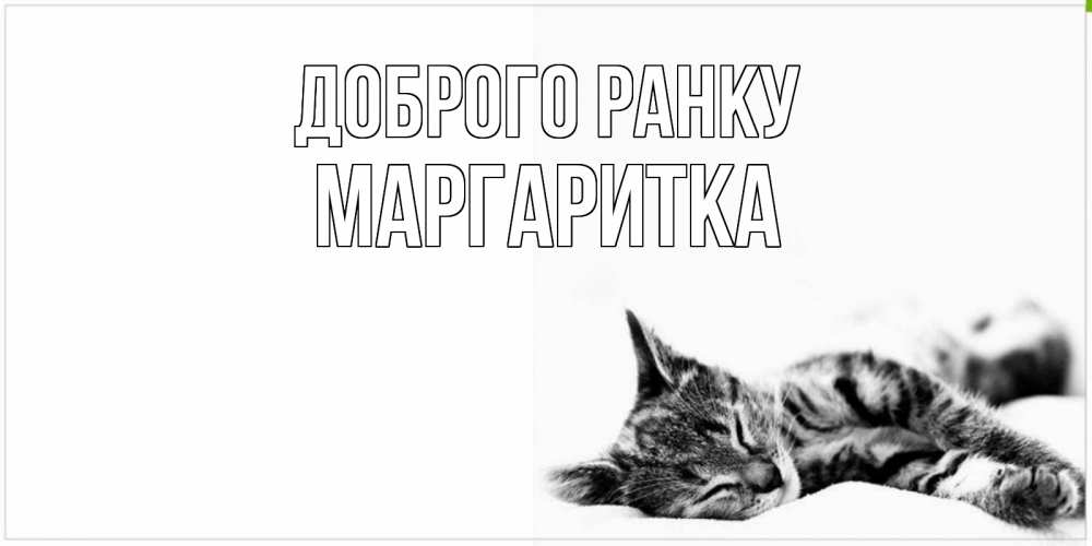 Открытка на каждый день з підписом, Маргаритка Доброго ранку котуся Прикольна листівка з побажанням онлайн скачати безкоштовно 