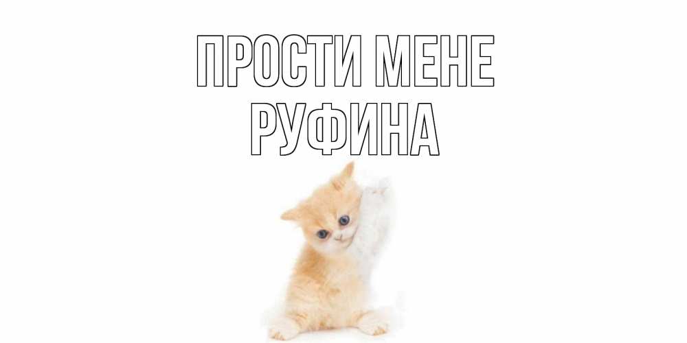Открытка на каждый день з підписом, Руфина Прости мене кот Прикольна листівка з побажанням онлайн скачати безкоштовно 