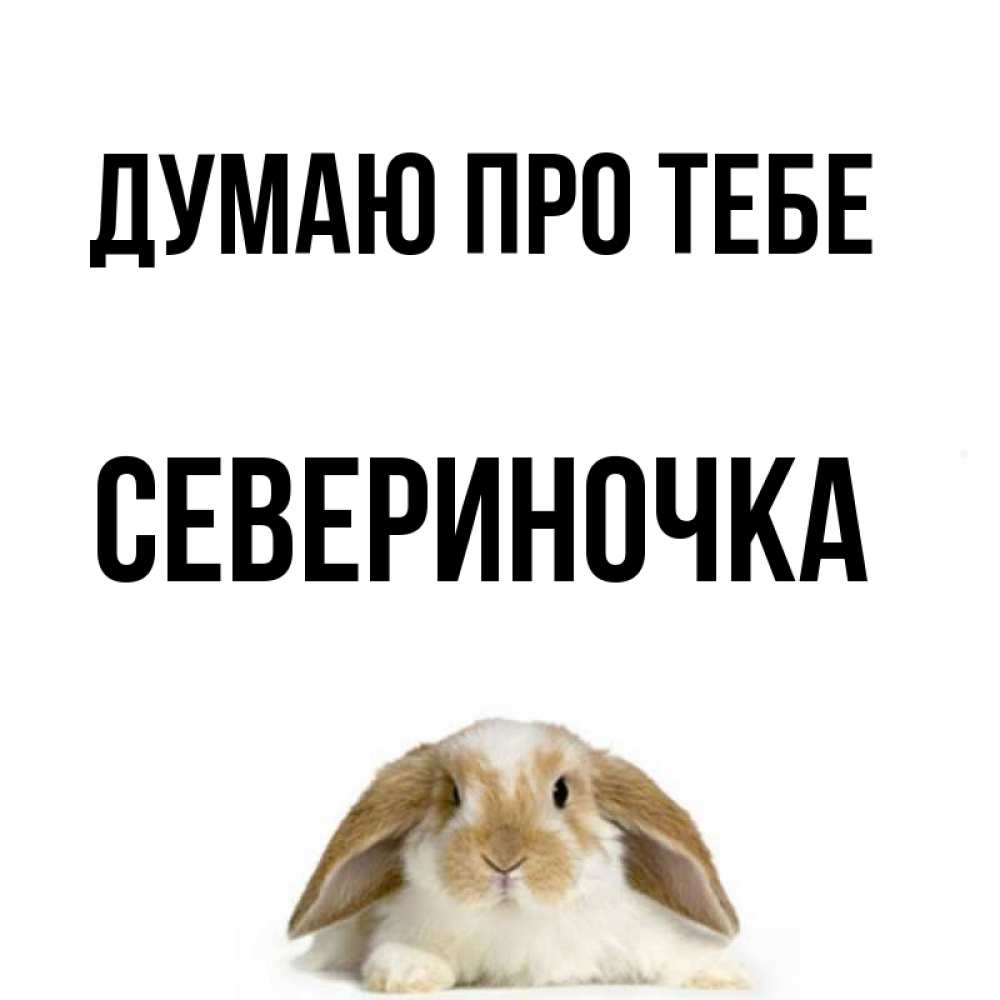 Открытка на каждый день з підписом, Севериночка Думаю про тебе подписать своими руками онлайн Прикольна листівка з побажанням онлайн скачати безкоштовно 