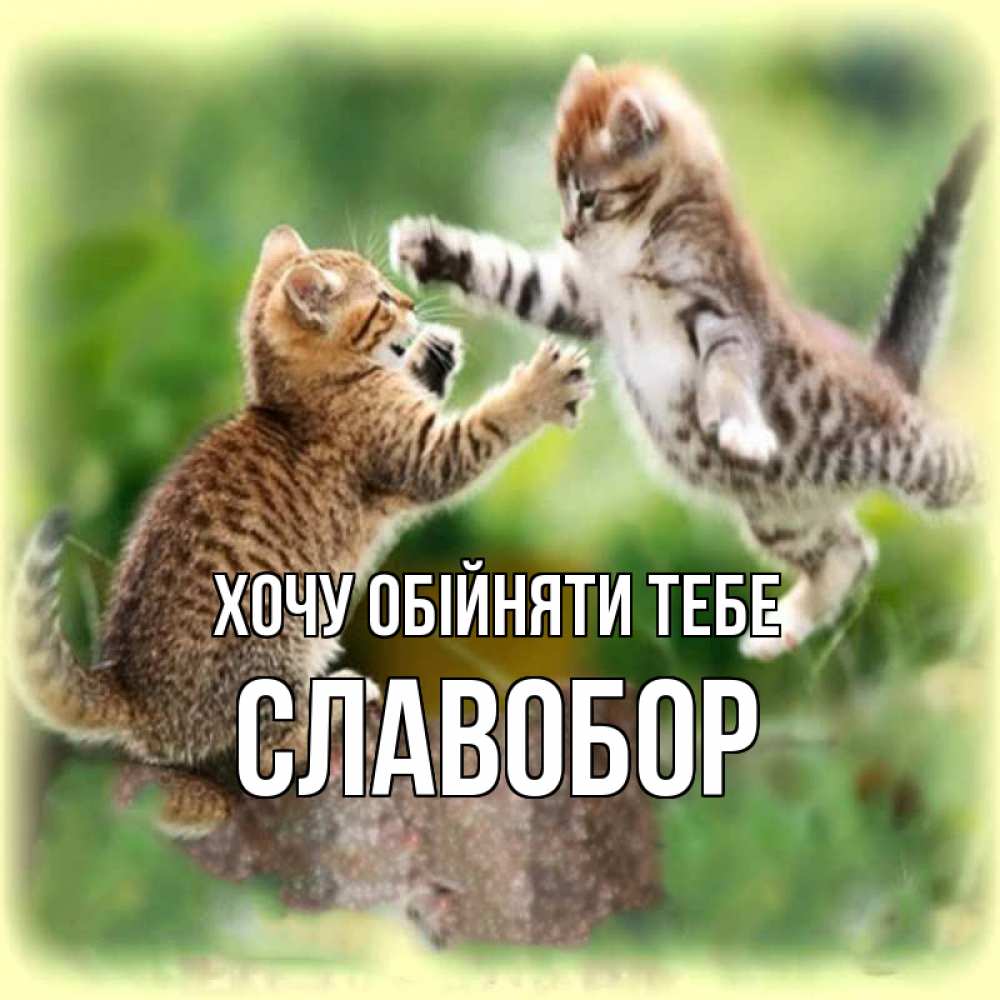 Открытка на каждый день з підписом, Славобор Хочу обійняти тебе игры котят Прикольна листівка з побажанням онлайн скачати безкоштовно 