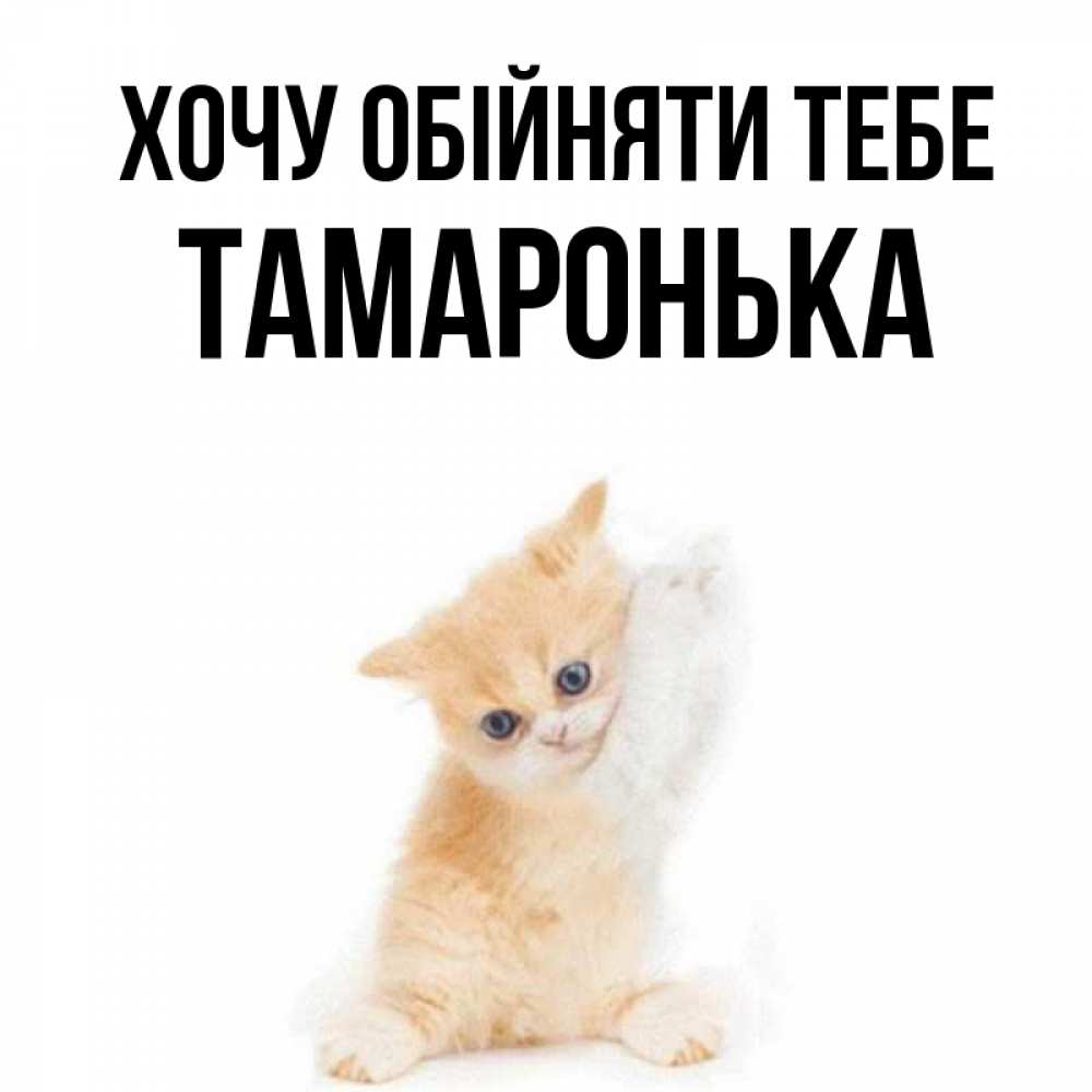 Открытка на каждый день з підписом, Тамаронька Хочу обійняти тебе я хочу очень скорее обнимаешек Прикольна листівка з побажанням онлайн скачати безкоштовно 
