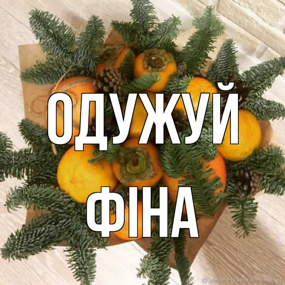 Открытка на каждый день з підписом, Фіна Одужуй апельсины и хурьма Прикольна листівка з побажанням онлайн скачати безкоштовно 